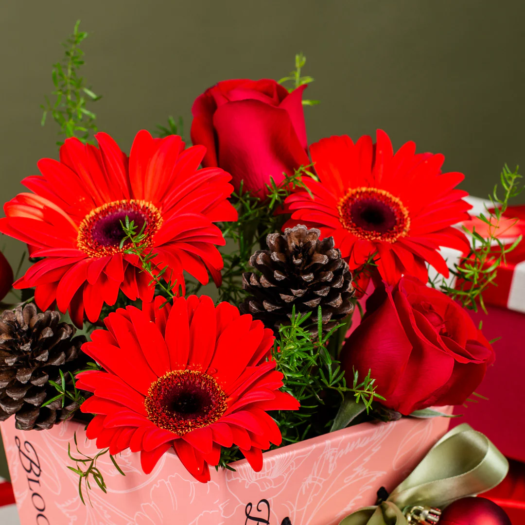 Angelica Red Gerbera Christmas Mini BloomBag - Image 4