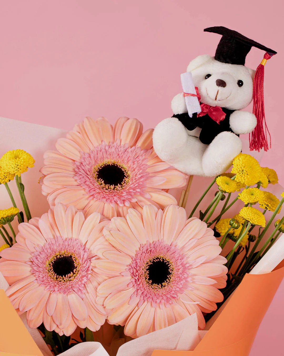 Beverly Peach Gerbera Graduation Bear Bouquet - Image 3