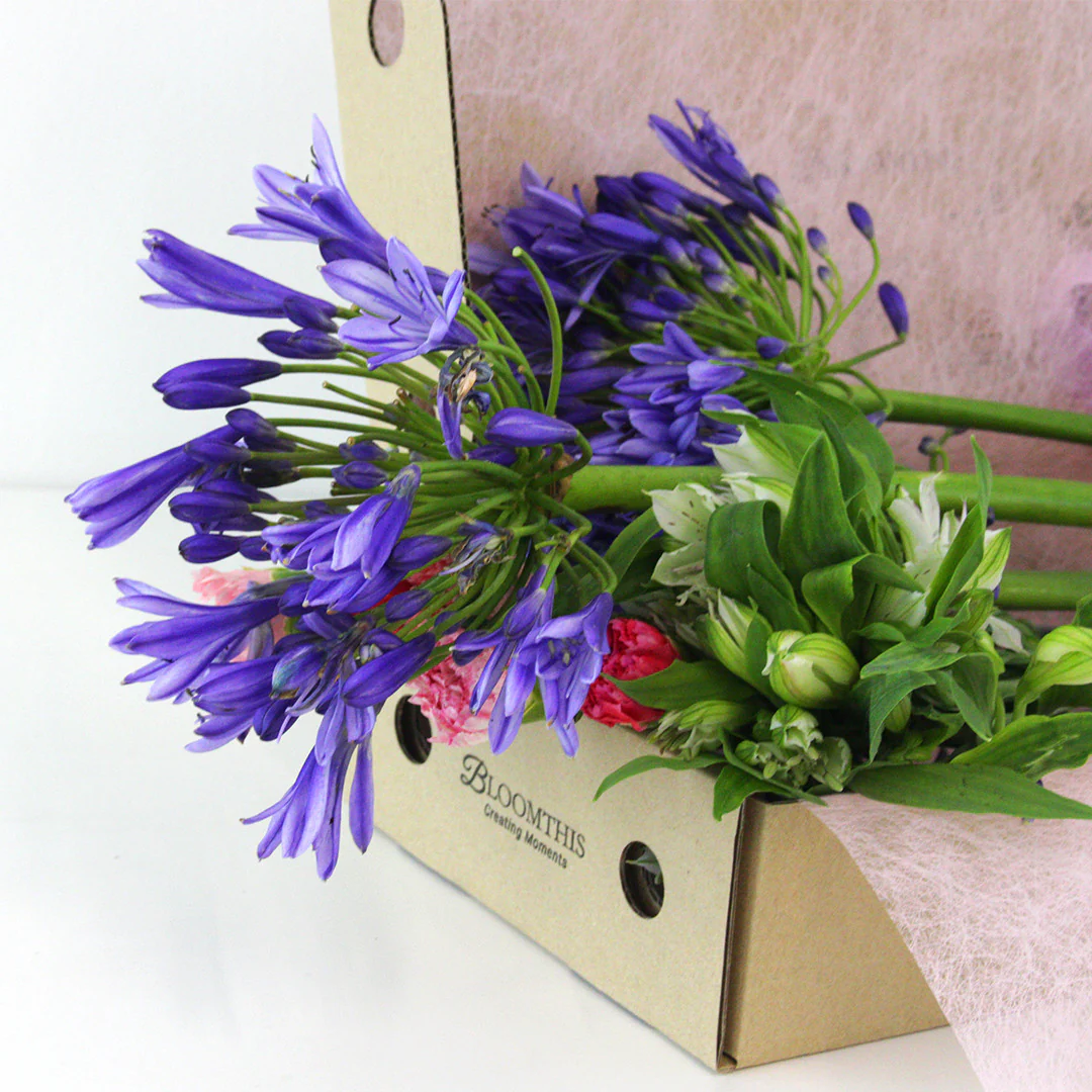 Bi-Weekly Subscription - Image 12