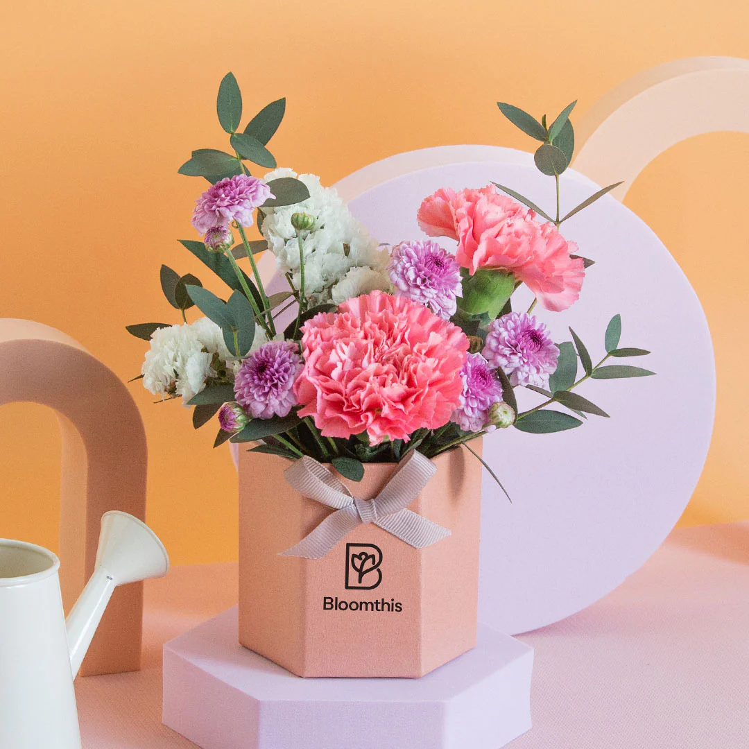 Chaya Carnation Mini Flower Box - Image 3