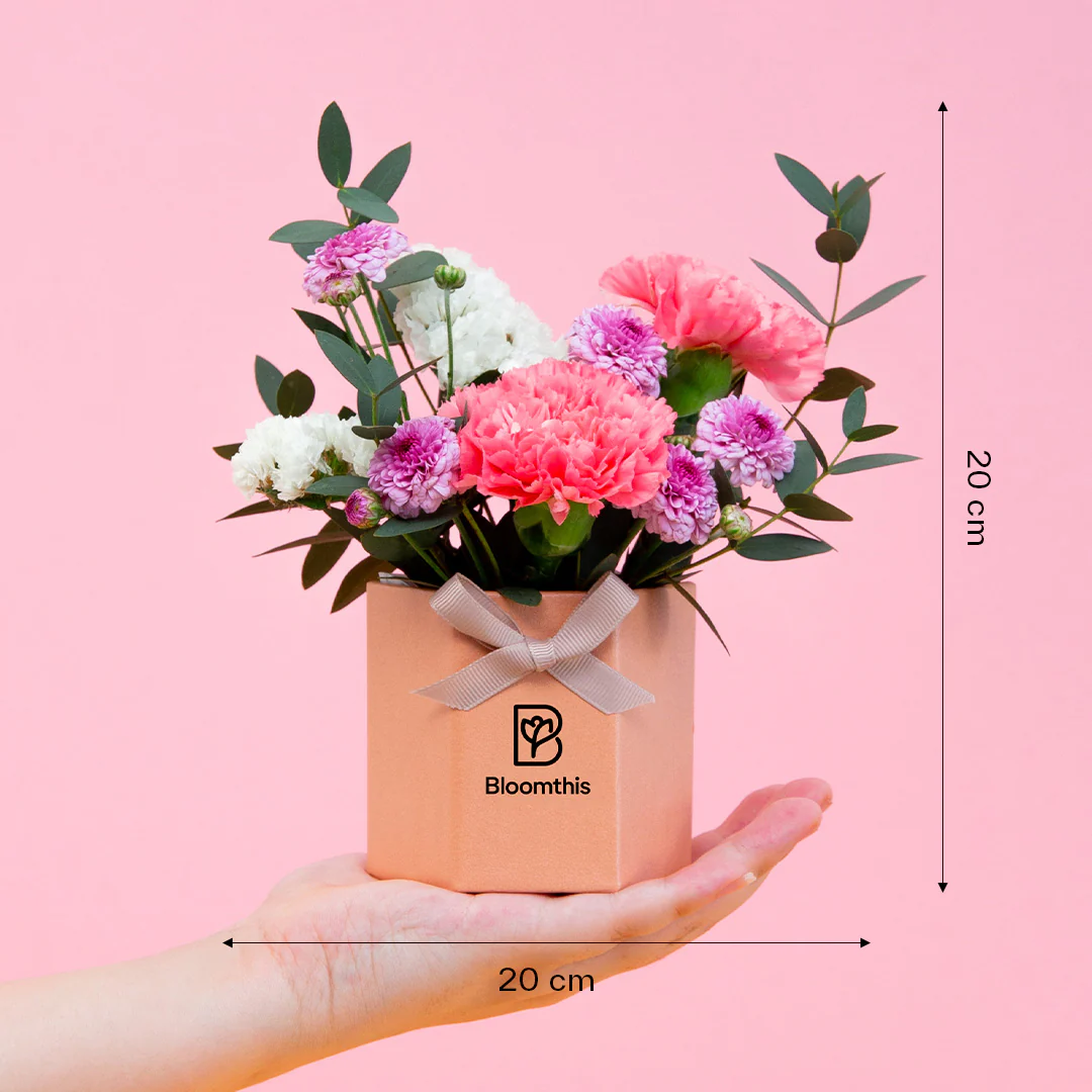 Chaya Carnation Mini Flower Box - Image 6