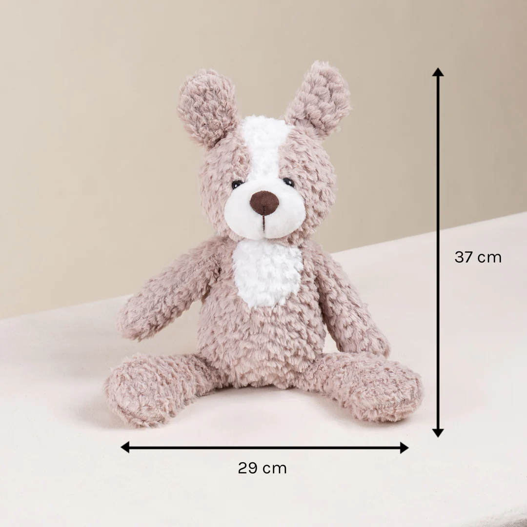Colleney 2-Tone Beige Teddy Plushie - Image 5