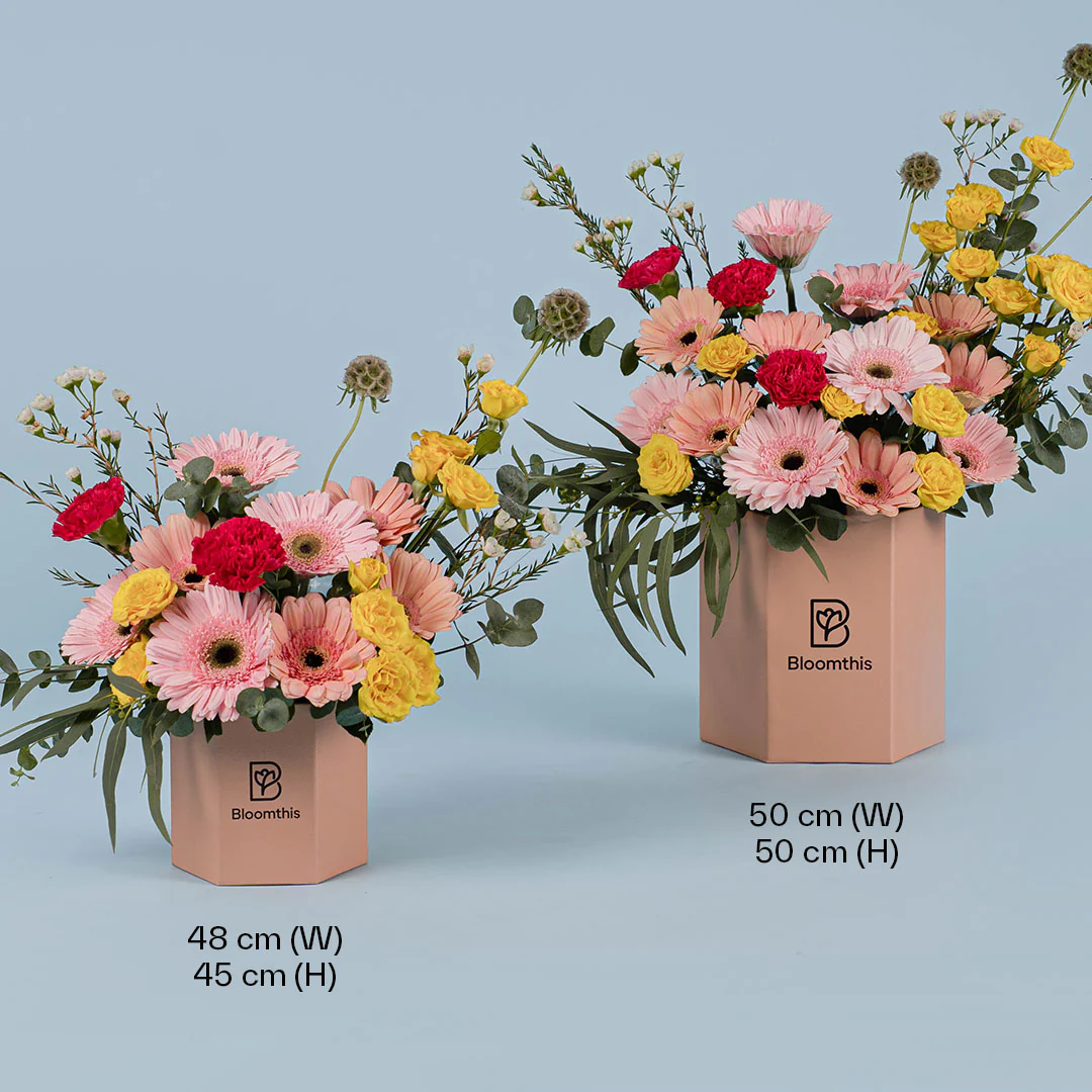 Izzy Pink Daisy Flower Box - Image 5