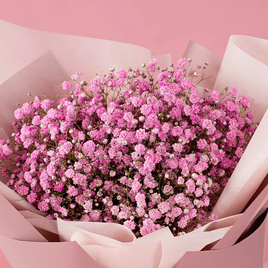 Janice Pink Baby's Breath Bouquet - Image 3