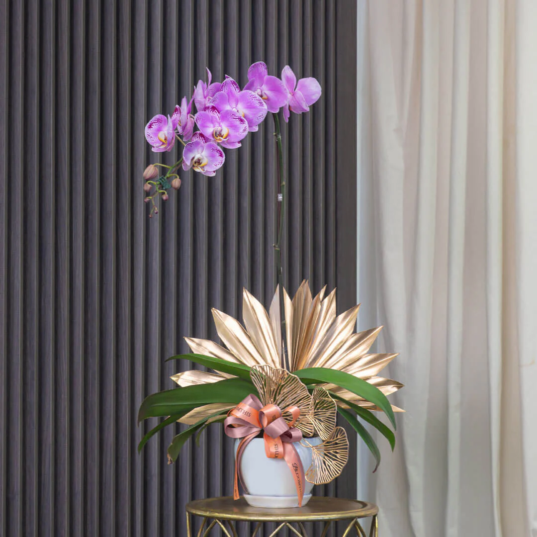 Jodie Phalaenopsis Orchid (1 stalk) (MDV) - Image 2