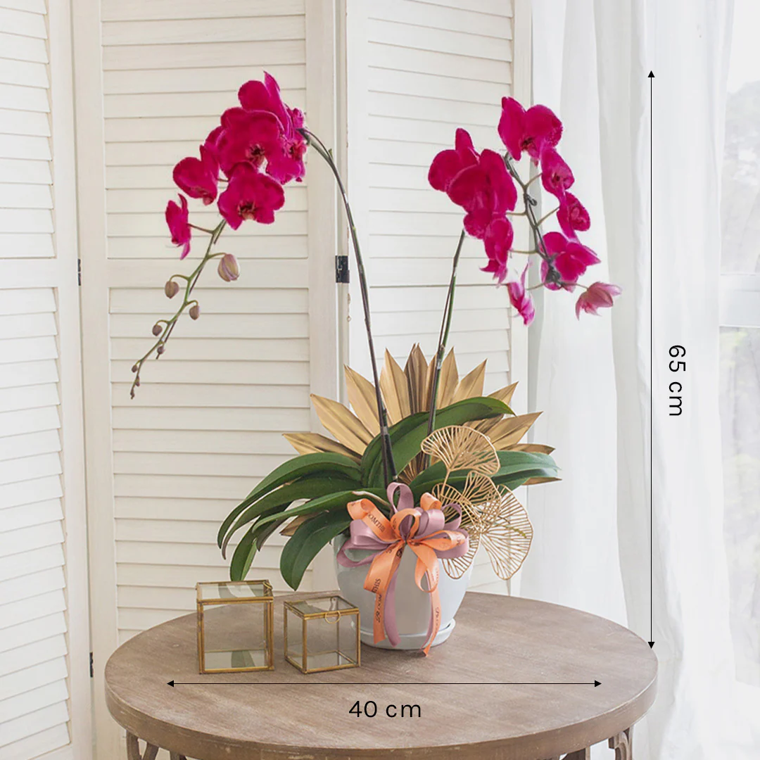 Jodie Purple Phalaenopsis Orchid (2 stalks) - Image 3