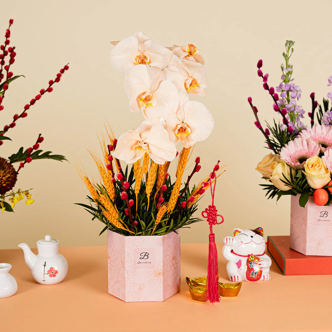 Longevity Apricot Cut Phalaenopsis Chinese New Year Flower Box 2025 - Image 3
