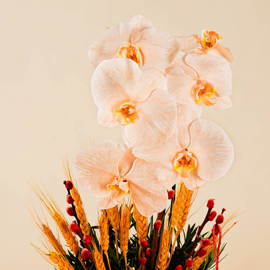 Longevity Apricot Cut Phalaenopsis Chinese New Year Flower Box 2025 - Image 6