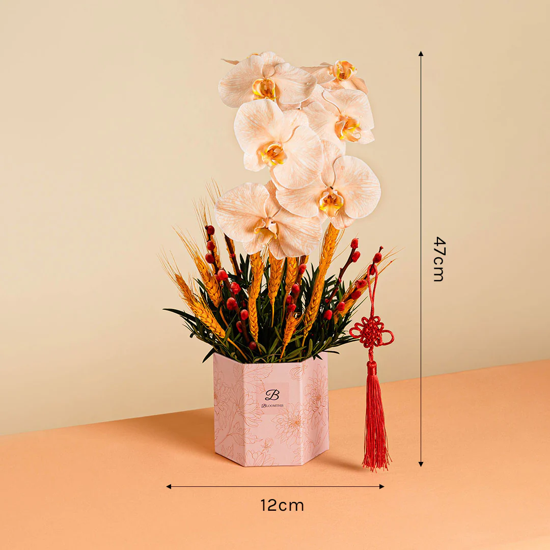 Longevity Apricot Cut Phalaenopsis Chinese New Year Flower Box 2025 - Image 7