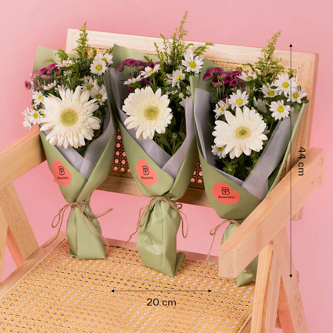 Meadow Cream Gerbera Bouquet Set (3 pcs) - Image 3
