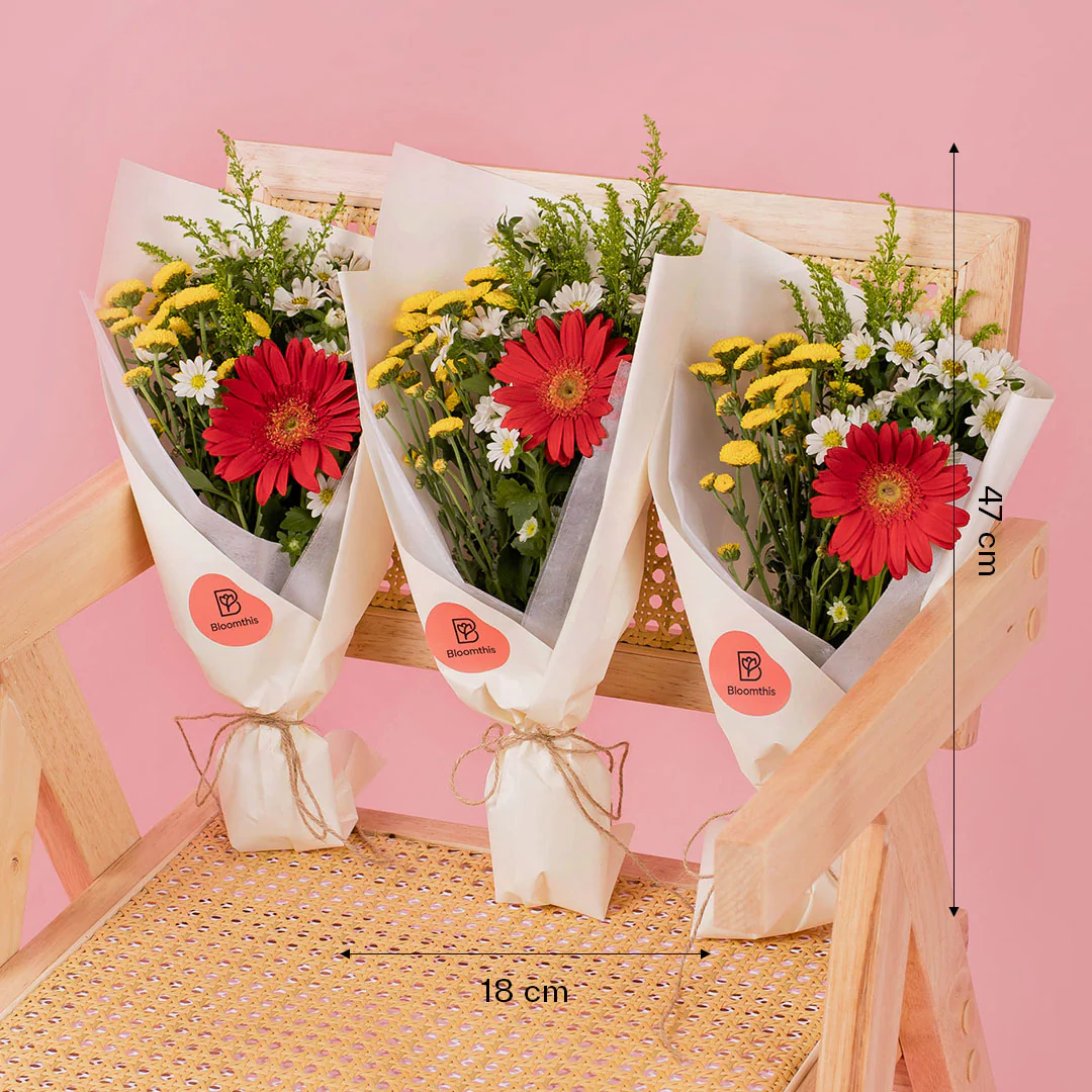 Meadow Red Gerbera Bouquet Set (3 pcs) - Image 3