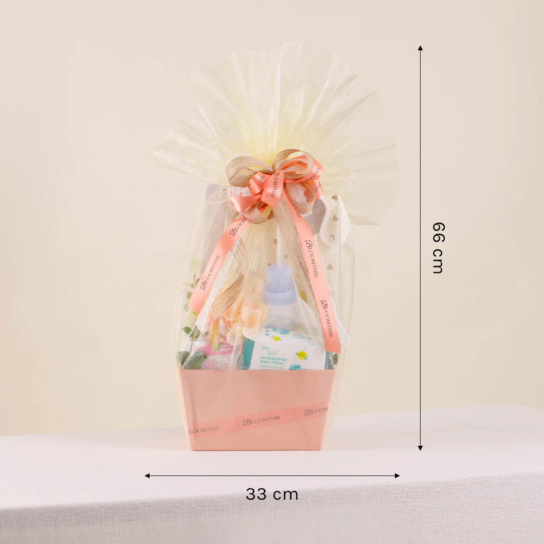 Ninetta Newborn Baby Hamper - Image 8