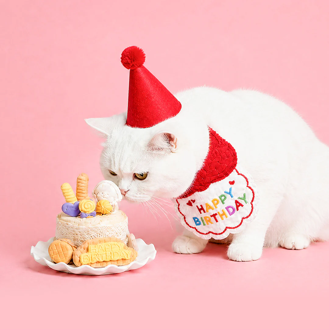 Pet Birthday Cheer Celebration Pack - Image 2