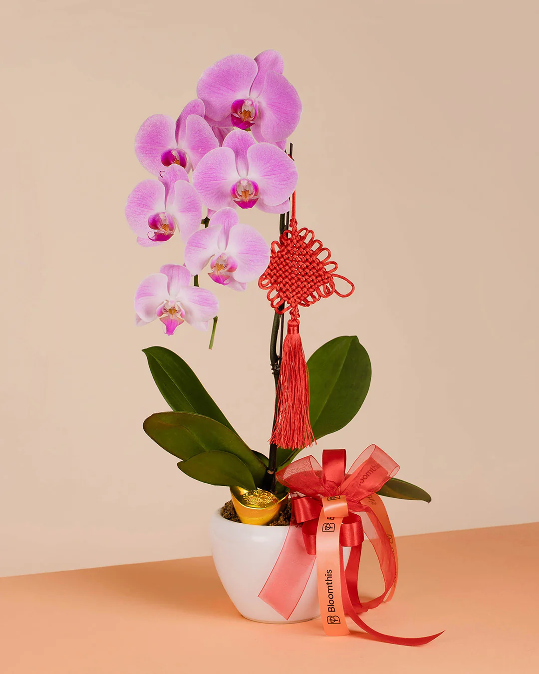 Pink CNY Phalaenopsis Orchid (1 stalk) - Image 5