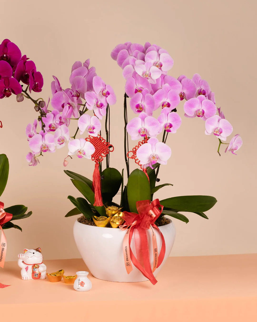 Pink CNY Phalaenopsis Orchid (5 stalks) - Image 6