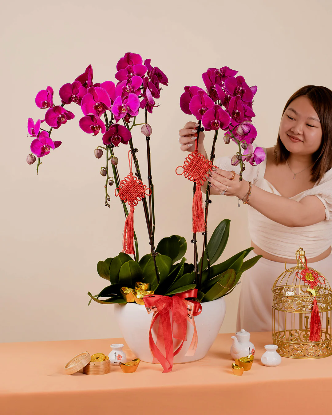 Purple CNY Phalaenopsis Orchid (5 stalks) - Image 2