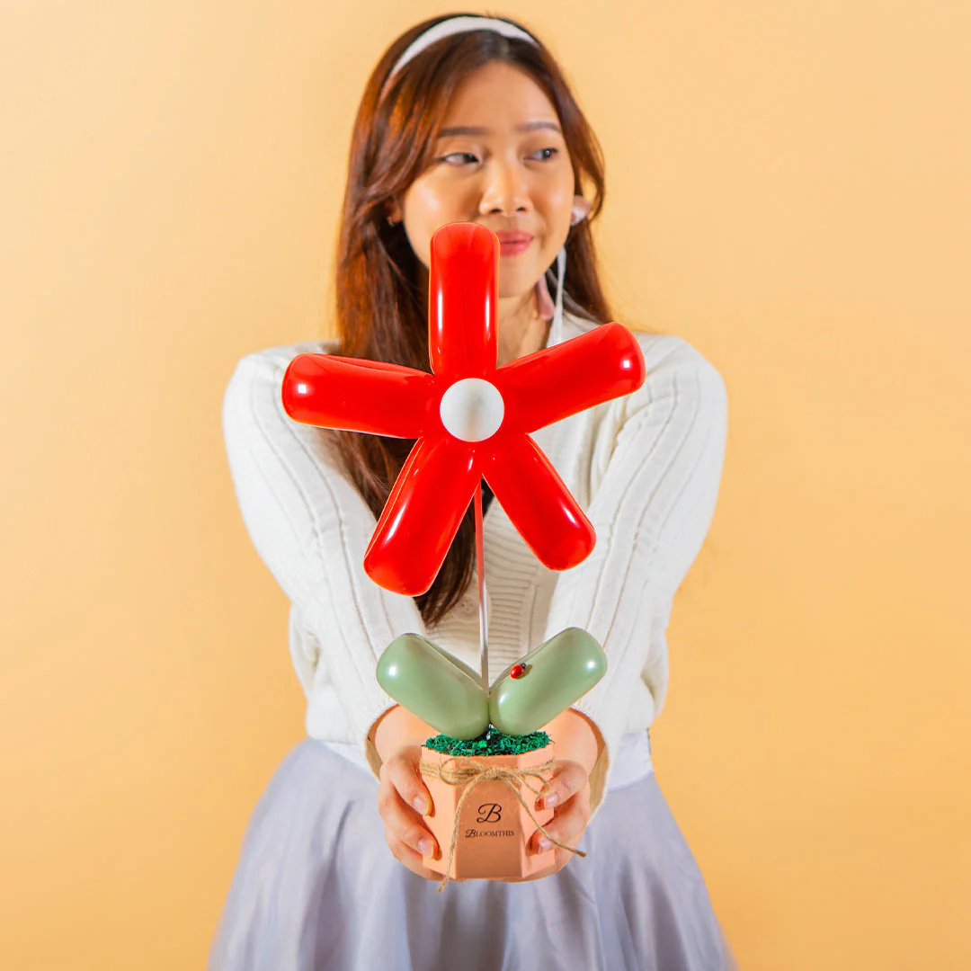Red Daisy Balloon Box (AO) - Image 2