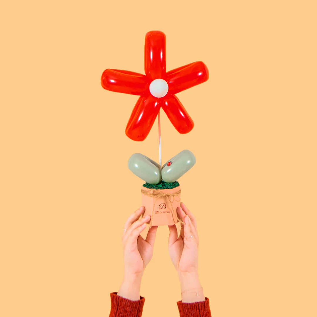 Red Daisy Balloon Box (AO) - Image 4