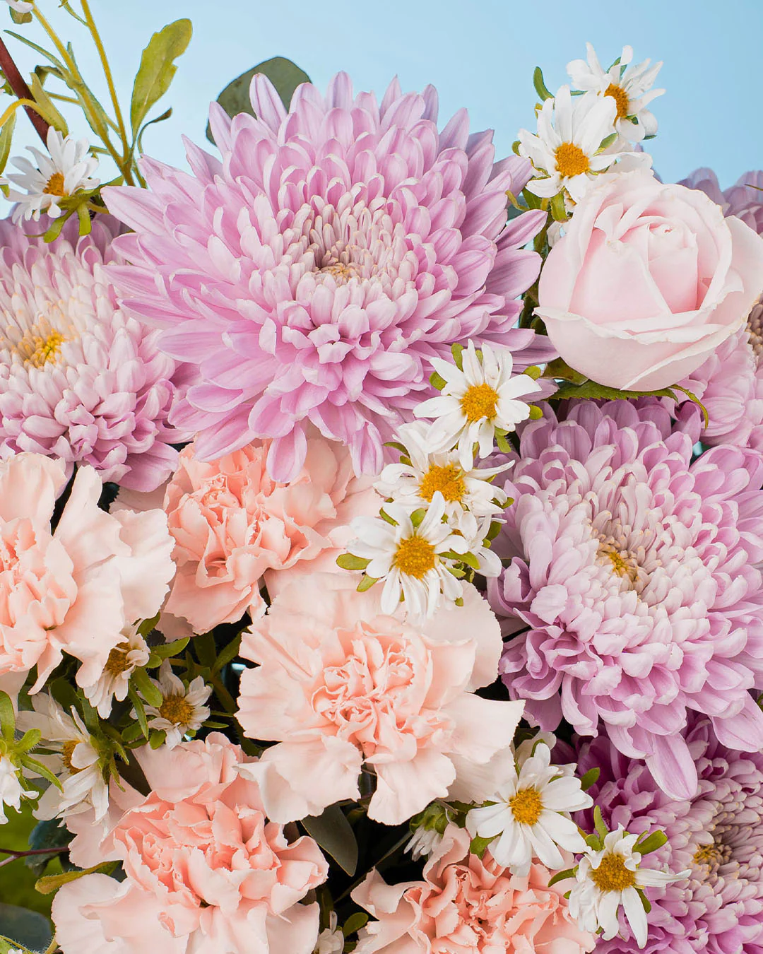 Spring Whimsy Zaylee Pink Mum Flower Box - Image 5