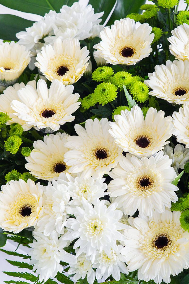 Tally White Gerbera Condolence Flower Stand - Image 2