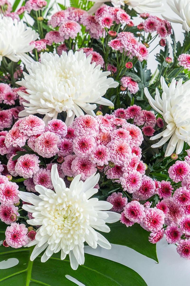 Tanya Pink Button Pom Pom Condolence Flower Stand - Image 2
