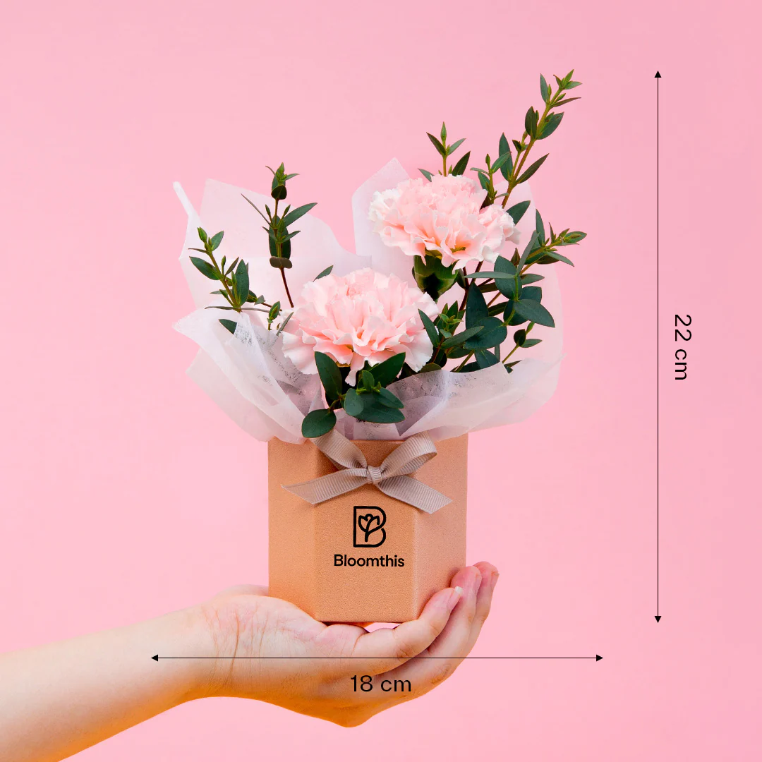 Waverly Carnation Mini Flower Box - Image 6