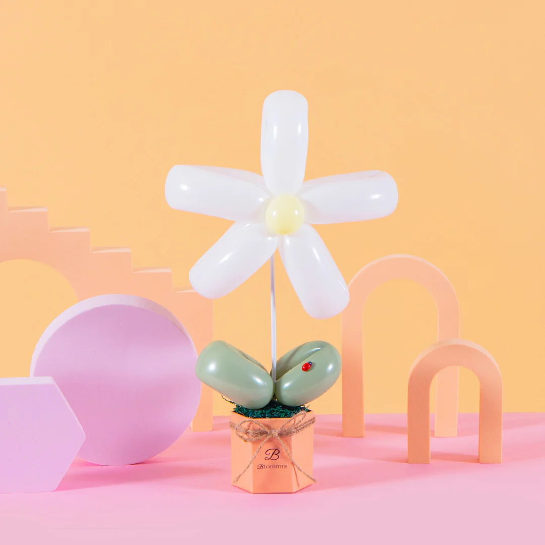 White Daisy Balloon Box - Image 3