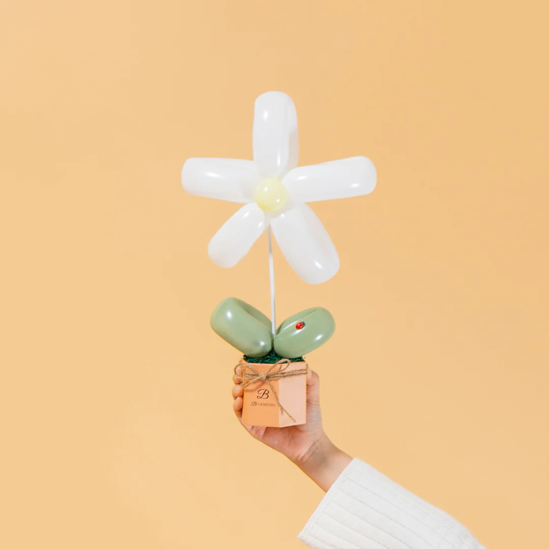 White Daisy Balloon Box - Image 4