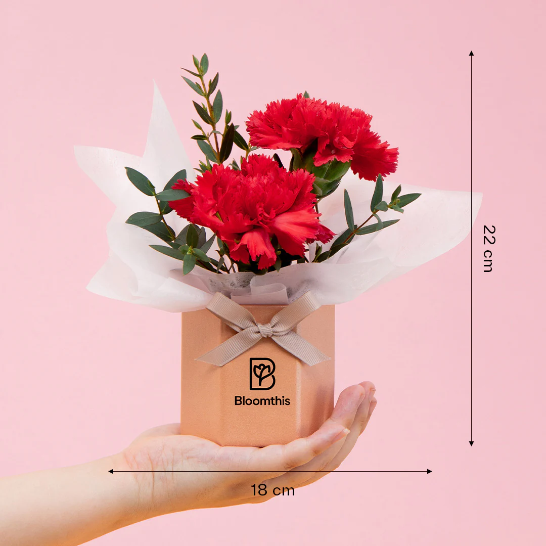 Wynona Carnation Mini Flower Box - Image 6